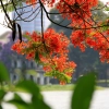 Astuces pour éviter la chaleur et l’humidité lors du voyage Vietnam en été