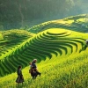Voyage Sapa en mai