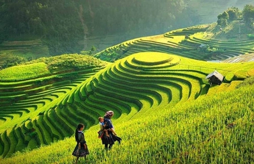Voyager à Sapa en mai : Que voir, que faire et conseils pratique