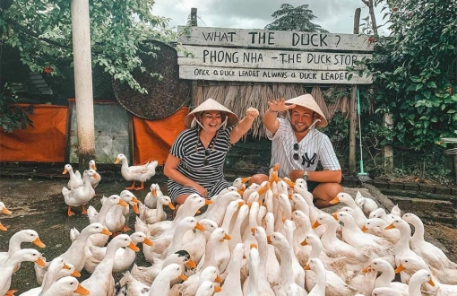 Duck Stop à Quang Binh : Les massages aux canards qui vous feront dire WOW