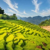 Itinéraire au Vietnam en 12 jours : voyage au fil des paysages et des traditions