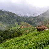 Voyage responsable en Thaïlande en 2 semaines : écotourisme et rencontres locales