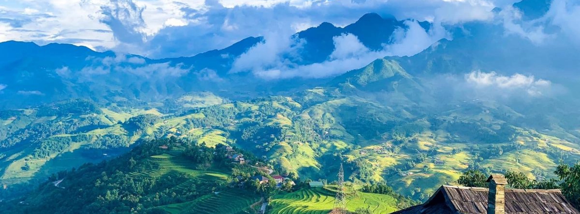 Sapa
