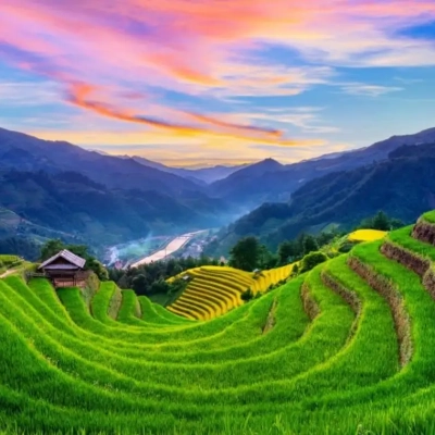 Sapa