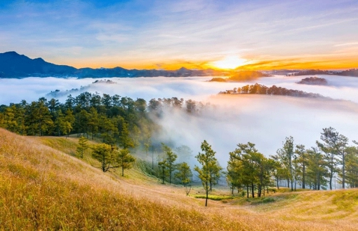 6 destinations authentiques au Vietnam : recommandées par le Quotidien britannique