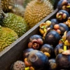 Top 10 des célèbres fruits au Cambodge : un festival de saveurs exotiques