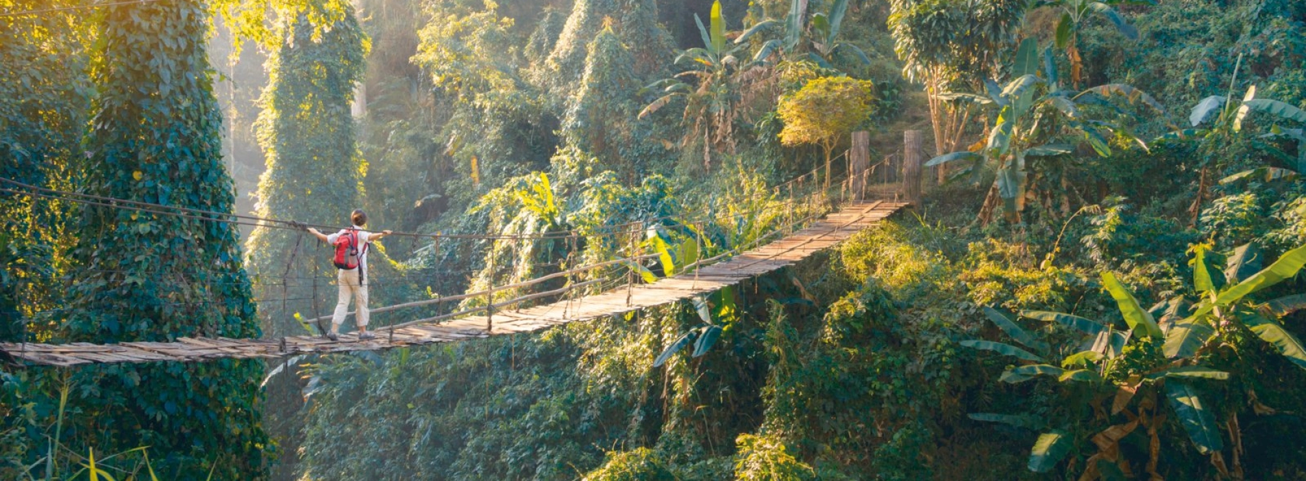 Trekking dans les montagnes du Nord Thaïlande : quelles options choisir ?