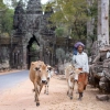 Circuit Vietnam - Cambodge - Thaïlande : Budget Complet et Conseils