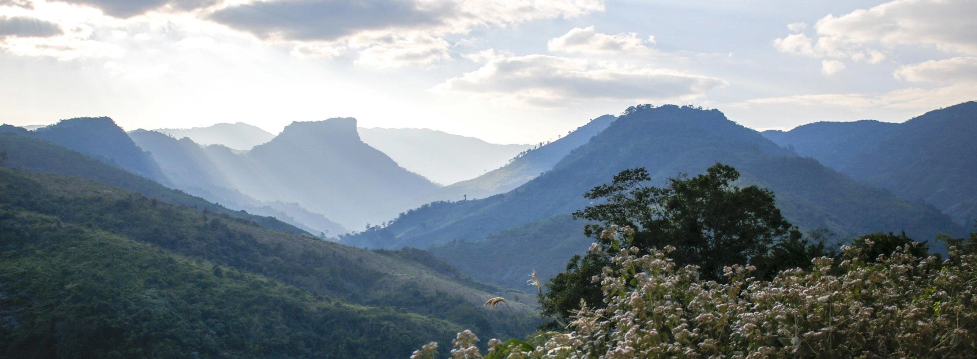 Top 10 parcs nationaux au Laos : trésors naturels à découvrir