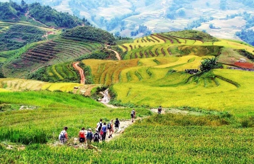 Top 5 des plus beaux villages authentiques du Nord Vietnam à découvrir hors des sentiers battus
