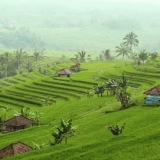 Voyage à Bali 4 jours : nature, culture et détente en Indonésie