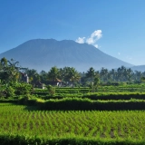 Voyage à Bali 4 jours : nature, culture et détente en Indonésie