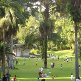 Circuit Singapour 4 jours 3 nuits – De la Cloud Forest à Jurassic World, un parcours extraordinaire