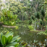 Circuit Singapour 4 jours 3 nuits – De la Cloud Forest à Jurassic World, un parcours extraordinaire