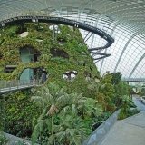 Circuit Singapour 4 jours 3 nuits – De la Cloud Forest à Jurassic World, un parcours extraordinaire