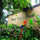 Rêve tropical de 4 jours à Bali: Évasion spirituelle et mer turquoise sur l’île des Dieux