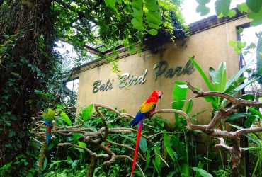 Temple Batuan - Parc ornithologique de Bali - Dtukad River Club - Ancien village de Penglipuran - Temple de la source sacrée de Tampak Siring