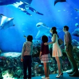 Voyage sensoriel 5 jours à Bangkok et Pattaya : Du Boeing café au château doré, la Thaïlande autrement