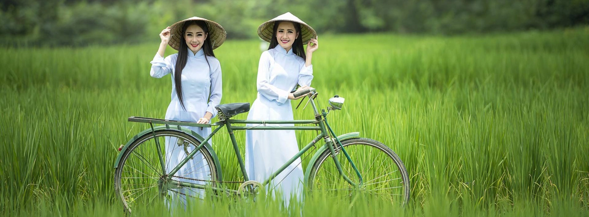 Itinéraire pour un voyage 3 semaines au Vietnam : Guide complet du Nord au Sud