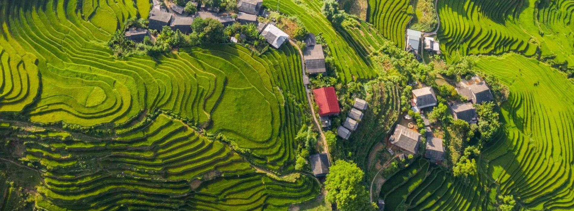 Ta Van - le « village dans les nuages » révélé au monde