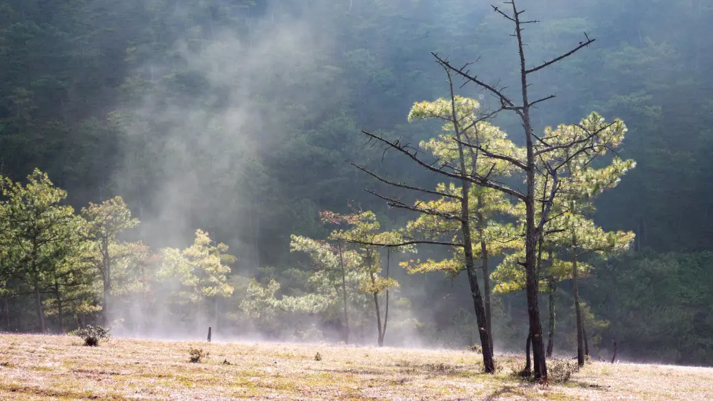 Lac Lak – Da Lat