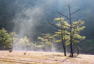 Lac Lak –  Da Lat (B/-/-)