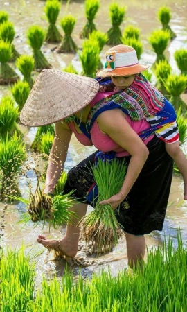 Voyage Thaïlande 15 jours
