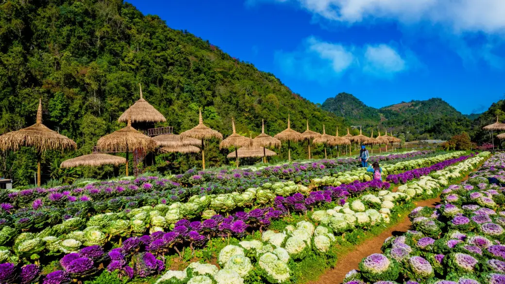 Chiang Mai - Visite de la ville
