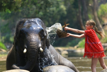 Luang Prabang - Village d’éléphants - Temps libre (B/L)