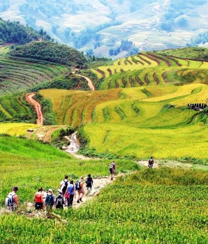 Itinéraire 5 jours de trekking au Sapa : au Cœur des Rizières du Nord Vietnam
