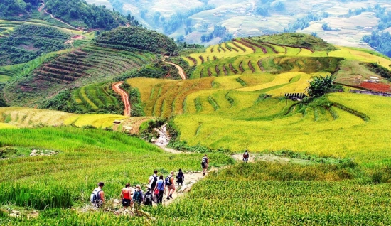 Itinéraire 5 jours de trekking au Sapa : au Cœur des Rizières du Nord Vietnam