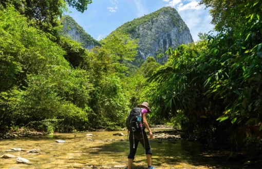 Choses à éviter lors d’un voyage en Malaisie