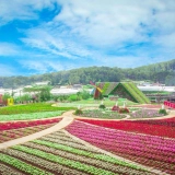 Voyage à Da Lat 3 jours: Samten Hills doré, Puppy Farm et jardins fleuris
