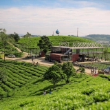 Voyage à Da Lat 3 jours: Samten Hills doré, Puppy Farm et jardins fleuris