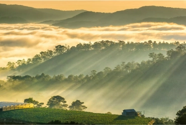 Da Lat - Départ (B/-/-)