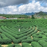 Circuit transfrontalier Vietnam-Laos 3 jours 2 nuits:  Hanoï, Moc Chau et Sam Nua authentique