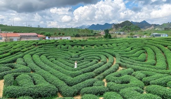 Circuit transfrontalier Vietnam-Laos 3 jours 2 nuits:  Hanoï, Moc Chau et Sam Nua authentique