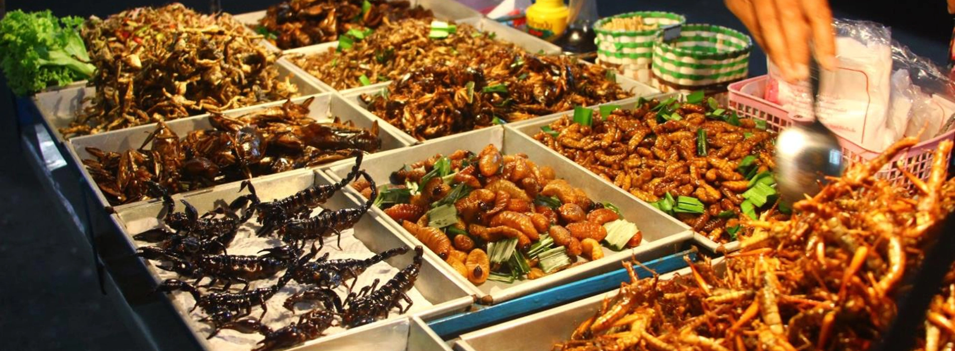 Cuisine de rue en Thaïlande : saveurs locales à petit prix