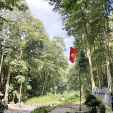 Voyage Laos une semaine: Plaine des Jarres et Mékong