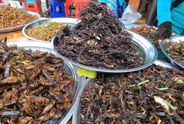 Siem Reap - Phnom Penh