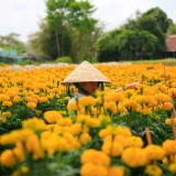Circuit Vietnam du Sud 10 jours : Exploration des incontournables