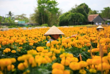 Can Tho – Cai Rang - Sa Dec – Ho Chi Minh Ville (B/-/-)