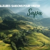 Voyage Sapa : quand partir ? Les meilleures saisons pour visiter Sapa
