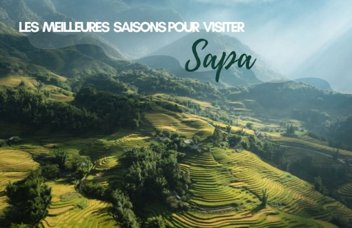 Voyage Sapa : quand partir ? Les meilleures saisons pour visiter Sapa