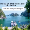 Voyage à la baie d’Ha Long en famille : activités à ne pas manquer