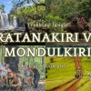 Trekking Jungle : Ratanakiri vs Mondulkiri, Guide Complet 2025