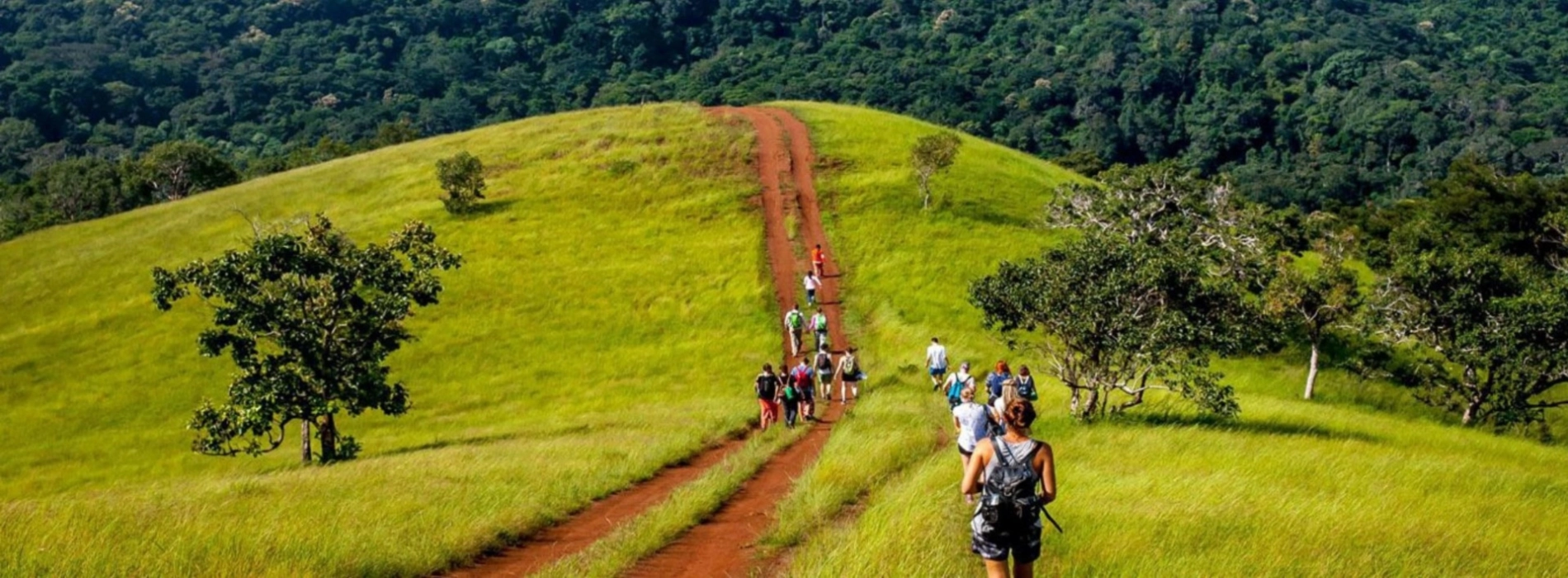 Trekking Jungle : Ratanakiri vs Mondulkiri, Guide Complet 2025