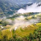 Voyage d’automne une semaine au Nord Vietnam : Ha Giang – Sapa – Mu Cang Chai