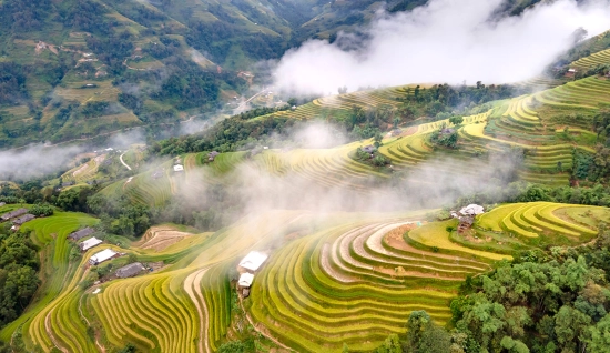 Voyage d’automne une semaine au Nord Vietnam : Ha Giang – Sapa – Mu Cang Chai
