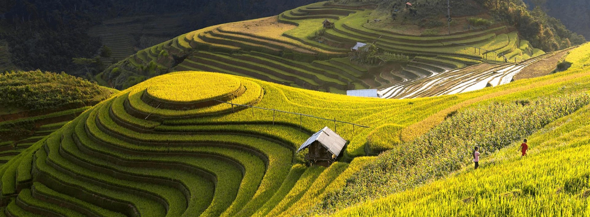 Voyage à Mu Cang Chai: Que faire si vous n'avez qu'une journée ?